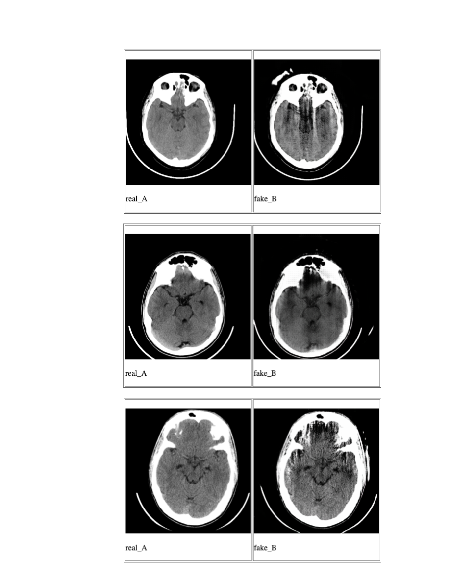 cycle gan images