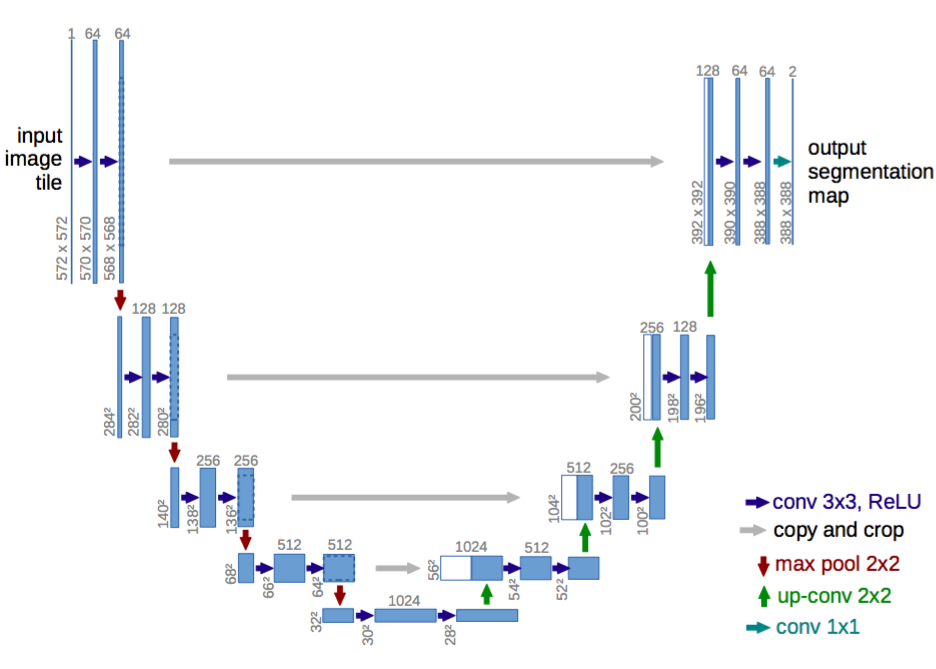 U-Net architecture